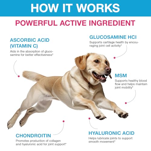 Pain Relief for Dogs, Gelenk Drops für Hunde, Dog Chondroitin Drops, Joint Aid & Relief with Glucosamine, Gelenk- & Knochenschutz für Hunde, 60ML