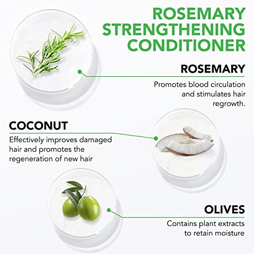 Rosemary Shampoo 300ml + Rosemary Conditioner 10.56 Fl Oz, Cleanse Hair, Helps Strengthen Hair, Moisturize & Soften Hair, Soft Hair and Nourish Scalp, Applicable to Dry to Oily Hair Types - Gift Set - Image 4