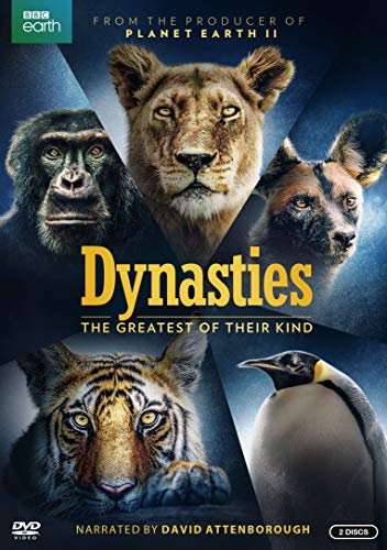 Dynasties (DVD) - //coolthings.us