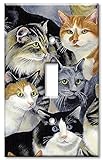 Art Plates - Just Cats! Switch Plate - Single Toggle