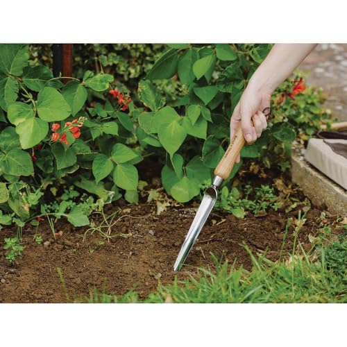 Kent & Stowe Herramienta Manual de Acero Inoxidable miniatura 3