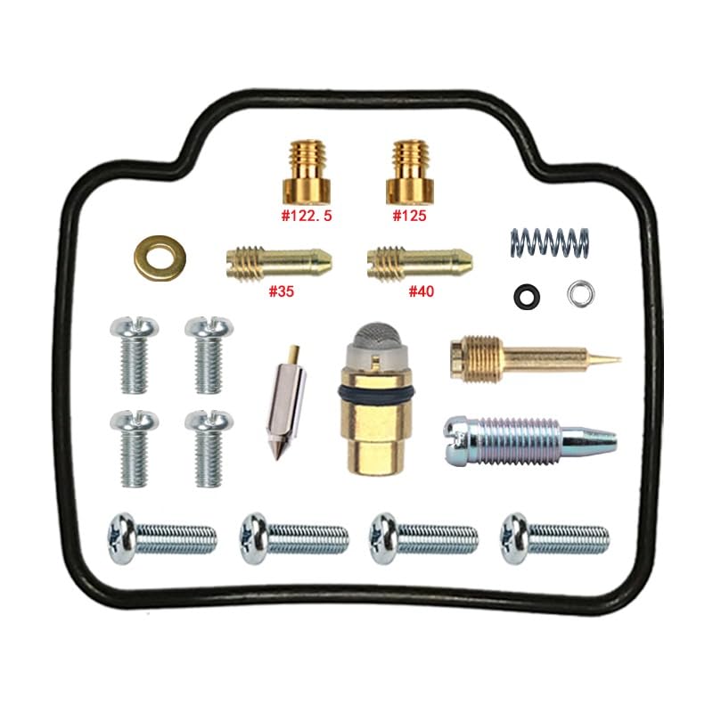 Kit réparation carburateur DR200S avec joints nitrile résistants