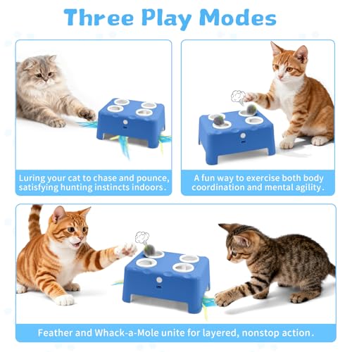 PETSWEET-Cheese-Box-Interactive-Cat-Toy-for-Kitten