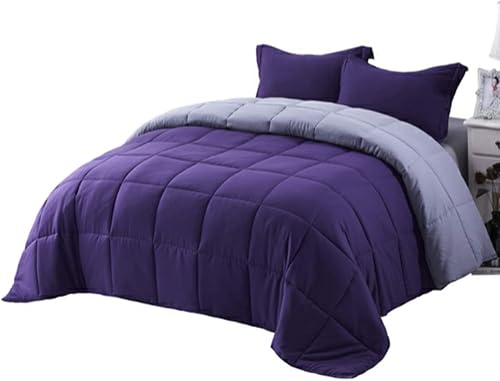 HUAJIE HJ - Juego de edredón de 3 piezas para todas las estaciones, suave, cómodo, alternativo, reversible, acolchado, de gran tamaño, para