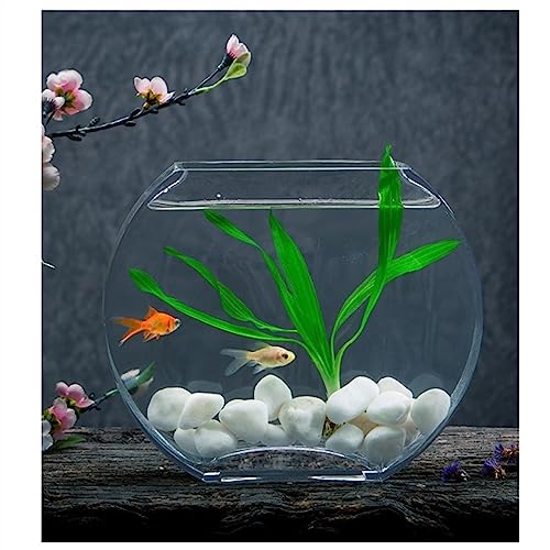 Miniatura 6 de Pecera Pecera En Forma De Melocotón, Plana Y Redonda, Pecera De Vidrio, Acuario, Sala De Estar, Escritorio, Decoración De Pecera, Tanque Ecológico Pequeño Y Mediano Para Exhibición En El Escritorio