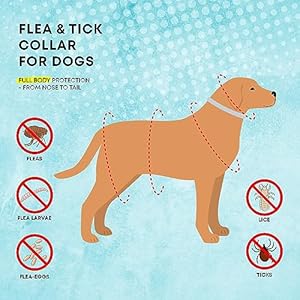 Dog Flea Tick Prevention Collar: Effective Flea Collar and Prevention for Dogs - Safe Dog Ticks Fleas Collars - Reliable Tick Flea Collars for Dogs - 24 Month Protection 4-Pack… Dog Flea Tick Prevention Collar Effective Flea Collar and Prevention for Dogs Safe Dog Ticks Fleas Collars Reliable Tick Flea Collars for Dogs 24 Month Protection 4 Pack