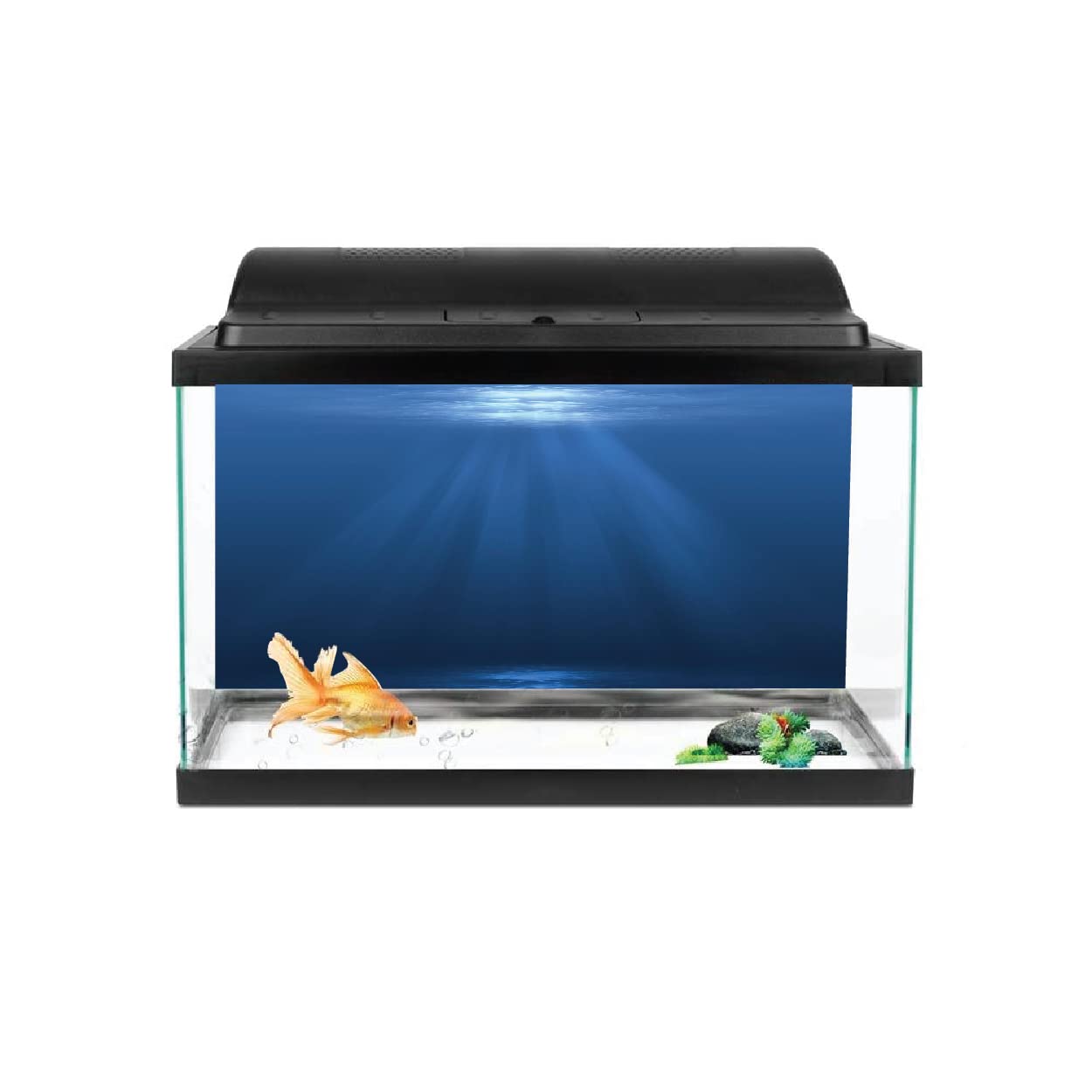 VVWV® Aquarium Background Stickers for Fish Tank Waterproof Vinyl Printed Multicolored Sticker (Sea) (76 X 46 CMS) (B0BX5Y45CZ) Amazon Price History, Amazon Price Tracker