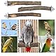 8 Stück vogelkäfig zubehör, sitzstangen für wellensittiche, wellensittich zubehör, Natur Sitzstangen Set für Vögel, Stehend Vogelkäfig Zubehör, Sitzstangen für Vogelkäfige, Wellensittich Zubehör