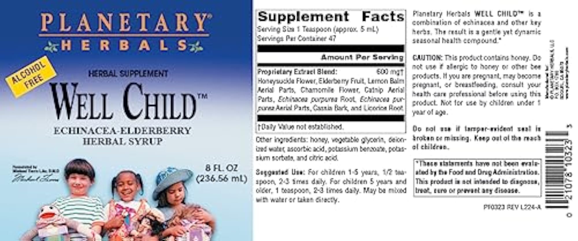 Echinacea-Elderberry Syrup, 8 fl oz