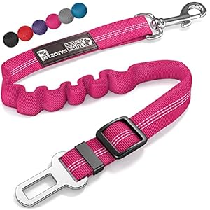 Car Travel Accessories for Dogs