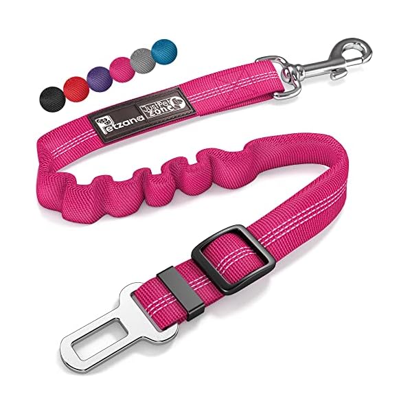 Car Travel Accessories for Dogs