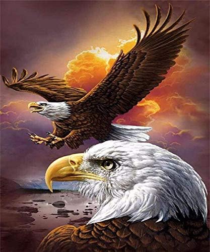 DIY 5D Diamond Painting Kits for Adults Full Drill, Paintings Pictures Arts Craft for Home Wall Decor，5D Painting Dots Kit (Eagle)