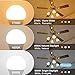 hansang A15 LED E26 Small Light Bulb, Daylight 5000K, 60Watt Equivalent Ceiling Fan Light Bulbs, E26 Standard Base Appliance Light Bulb, 600 Lumen, CRI85+, Eye Protection, 120V, Non-Dimmable 6 Pack