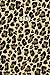 Dani: Personalized Notebook - Leopard Print (Animal Pattern). Blank College Ruled (Lined) Journal for Notes, Journaling, Diary Writing. Wildlife Theme Design with Your Name