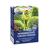 COMPO Engrais longue durée pour buis et Ilex - Pour buis, houx et haies - Formule plus respectueuse de l'environnement - Efficacité longue durée de 6 mois - 850 g - 17 m²