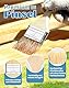 32Stk. Pinselset Malerpinsel Set 12.7/25.4/38.1/50.8mm Breite Flachpinsel Set Malerbedarf Pinsel Set für Malen Lack Lasur Wandfarbe Öl Lasurpinsel Holz DIY Lackpinsel zum Streichen Lasurpinsel