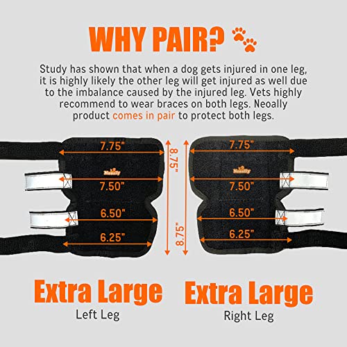 Image of NeoAlly - 3-in-1 Long Rear Leg Hock Brace, Dog Leg Brace for Rear Leg with Rigid & Spring Inserts, Hock and Ankle Support, Dog Leg Sleeve with Reflective Straps, XL, 1 Pair