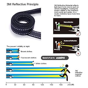 3M-Reflective-Dog-Leash-5ft-Long-with-Traffic-Padded-Handle-Dog-Training-Leash-Heavy-DutyDouble-Handle-Lead-for-Large-or-Medium-Dog-Black - Cucciolini Doodles 3M-Reflective-Dog-Leash-5ft-Long-with-Traffic-Padded-Handle-Dog-Training-Leash-Heavy-DutyDouble-Handle-Lead-for-Large-or-Medium-Dog-Black