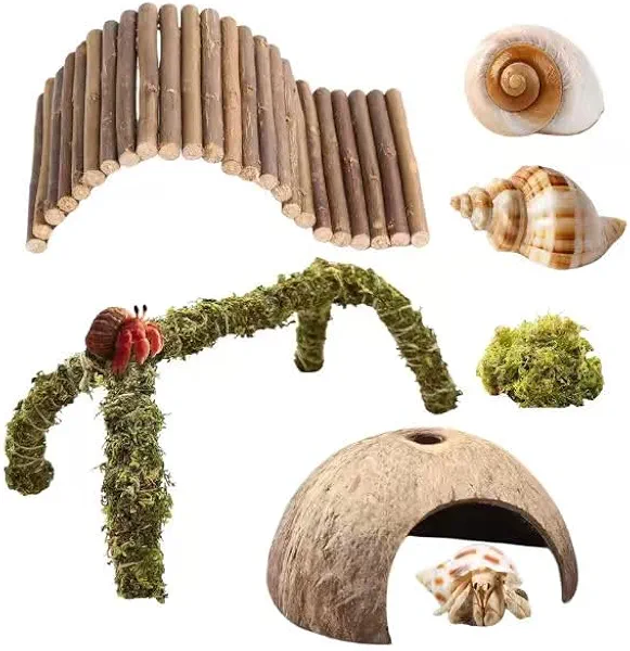 Hermit Crab Accessories – 6PCS Natural Hermit Crab Toys Climbing Bridge, Shells, Coconut Hideout, Moss and Plants for Hermit Crabs Habitat & Reptile Tank Decor