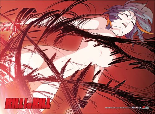 Amazon.com: Great Eastern Entertainment Kill La Kill Nude Ryuko