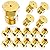 MEANHDAG Grill LP Gas Conversion Kit for Weber, Brass Jet Nozzle for Propane LPG, DIY Burner Replacement Part Orifice Can Drill Out, 10 PCS, Orifice Hole Size 0.5mm=0.02 "=24AWG, M6x0.75mm