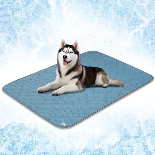 PetAmi php}bgAxbhN[gpv~AybgpuPbgA~߉ppN[pbhAQ-MAX^\t@JE`Jo[}bgALpACgu[A60x80