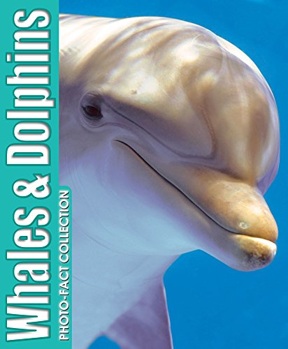 Photo-Fact Collection Whales & Dolphins 1588657205 Book Cover