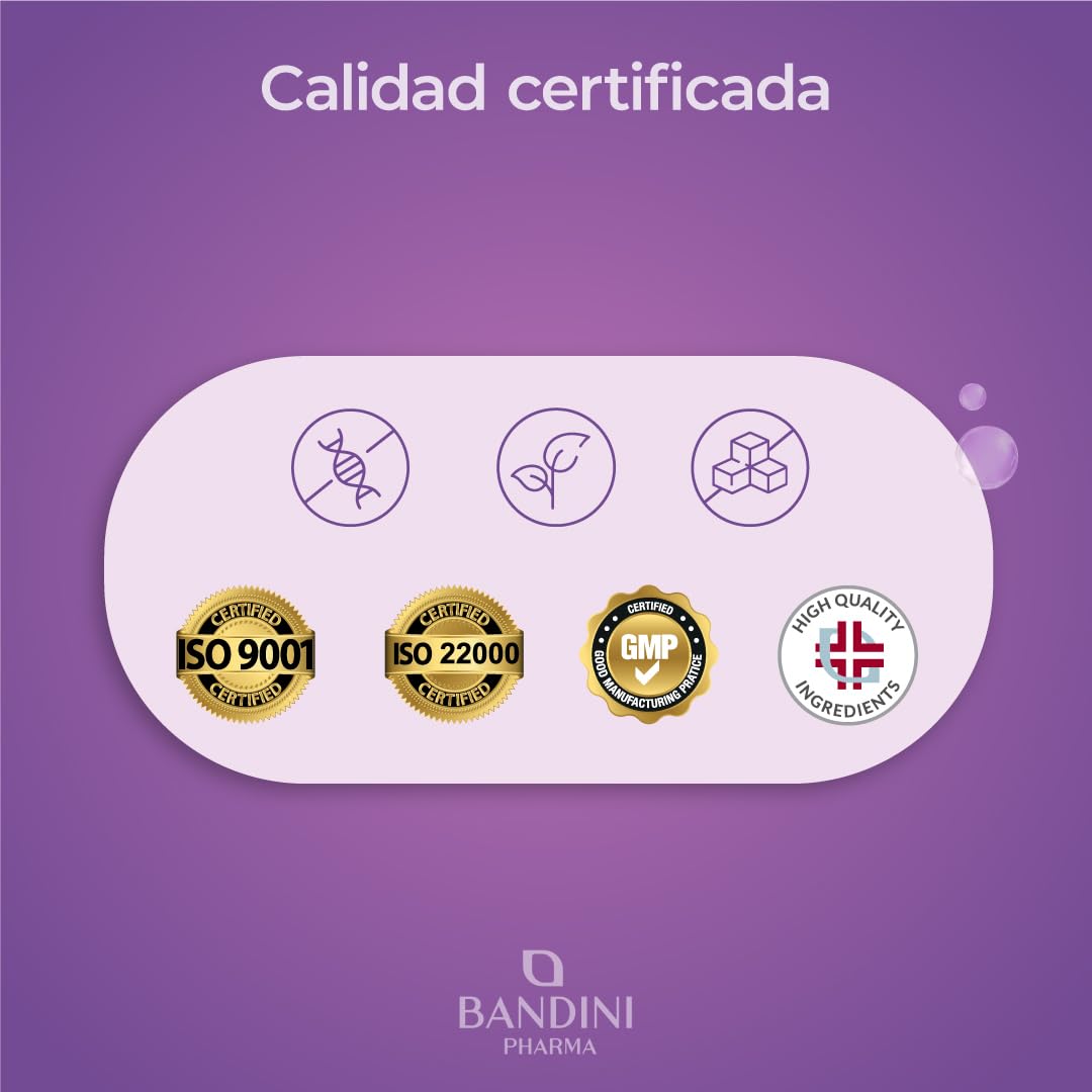 Bandini® Cardo Mariano 366 Comprimidos, Suplemento a base de Silimarina del Extracto Natural de Cardo Mariano, Ayuda a la Función Hepática, Silybum Marianum 300mg, Milk Thistle 1200 mg/día (+6 Meses)