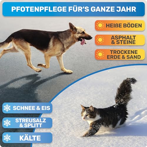BluePet Pfotenbalsam Hund 50ml – Pfotenpflege Hund gegen trockene & rissige Pfoten und Nase – Natürlicher Schutz & Pflegebalsam für Hunde