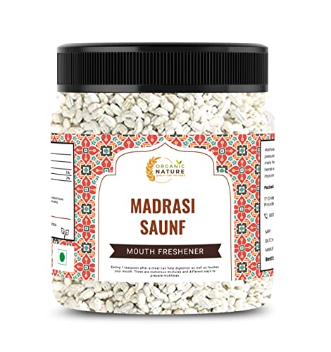 Image of Organic Nature Peppermint Fennel Seeds Madrasi saunf - White Saunf (Jar Pack) (300 Grams (Pack of 1 of 300 Grams))
