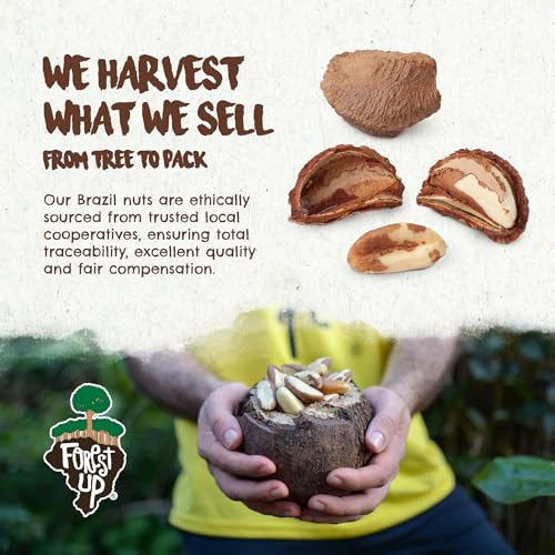 Image of Forest Up - Snack The True Organic Brazil Nuts 7oz - Roasted & Himalayan Salt - Kosher - Healthy-Rich in Vegetable Protein - From Amazon Rainforest - Fresh, Vegan, Gluten-Free and Oil Free