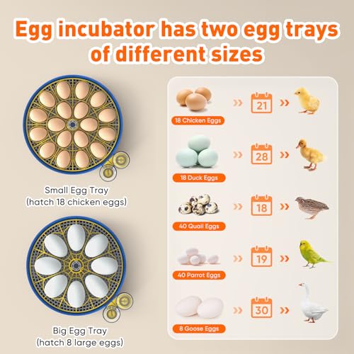 MYPIN 18 Egg Incubators for Hatching Eggs, Egg Incubator with Eggs Automatic Turning, Humidity &Temperature Control, Auto Water Filling, Egg Candler for Chicken Duck Goose Quails Eggs, Farm Lab Home - Image 4