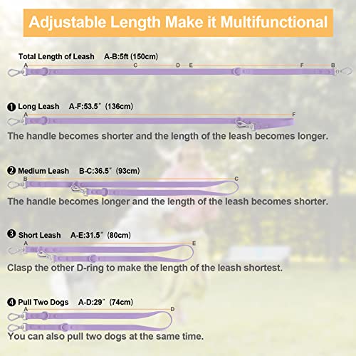 Waterproof Dog Leash: Standard Dog Leashes With 2 Hooks For Walking, Adjustable Lengths For Traffic Control Safety, Durable And Odor Proof, For Medium Large Dogs (M|3/4 In × 5 Ft,Lilac) #TOP4