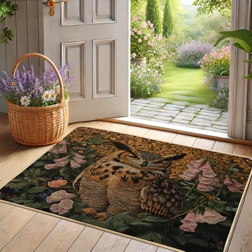 Paillasson chouette marron pour entrée extérieure et intérieure, décoration naturelle, en caoutchouc imperméable, antidérapant, absorbant la poussière,...