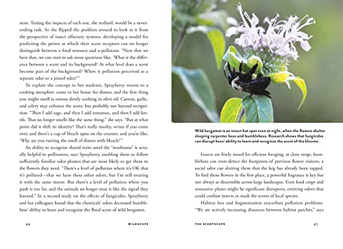 Wildscape: Trilling Chipmunks, Beckoning Blooms, Salty Butterflies, and other Sensory Wonders of Nature (-) - Image 4
