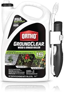 Ortho GroundClear Weed & Grass Killer Ready-to-Use - Grass Weed Killer Spray, Use in Landscape Beds, Around Vegetable Gardens, on Patios & More, Broadleaf Weed Killer, See Results in 15 Minutes, 1 gal