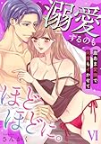 溺愛するのもほどほどに。激あま愛撫で何度もイ��かせて【コミックス版】【コミックス版限定特典付き】 6巻 (いけない愛恋)