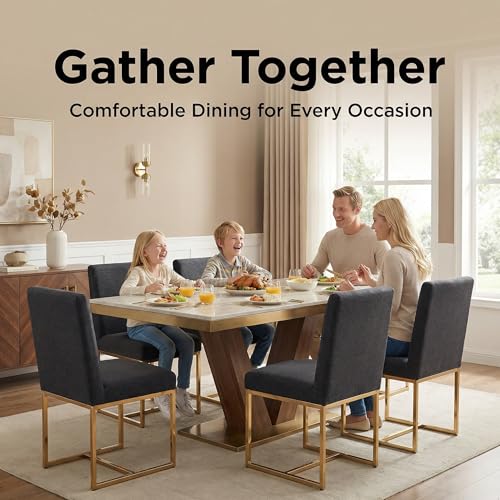 Image of HNY Modern Dining Chairs Set of 2, Upholstered Linen Dining Room Chairs with Ergonomic Back & Polished Gold Metal Frame for Home, Kitchen, Apartment, Charcoal Black