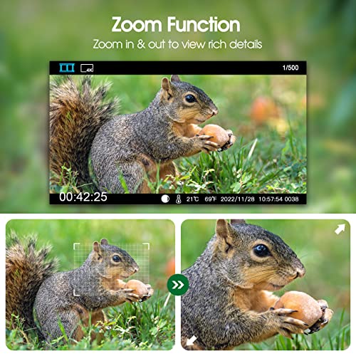 Best Thermal Camera for Wildlife Keeping Warm