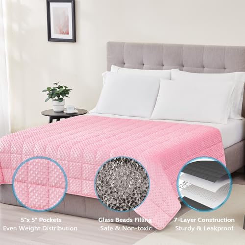 L'AGRATY Weighted Blanket for Adult - 48"x72" 15lbs Minky Dots Heavy Blanket with Glass Beads Soft Breathable for All-Season Summer Fall Winter Thick Comfort for Sleeping