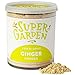 Produktbild Gefriergetrocknetes Ingwerpulver - Geschmackvolle, 100% Natürliche Gefriergetrocknete Ingwer - Fruchtpulver Für Smoothies, Desserts & Mehr - Ohne Zuckerzusatz - Von Super Garden (70g)