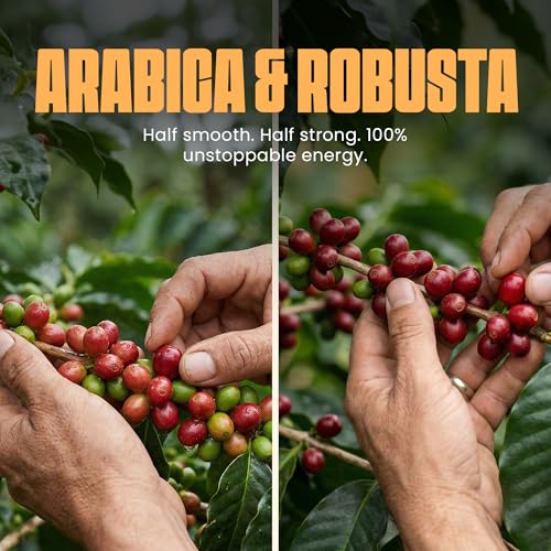 Café en Grano Blu Ore Quartz Blend 12 oz Tostado Medio miniatura 4