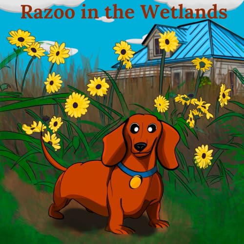 Razoo in the Wetlands