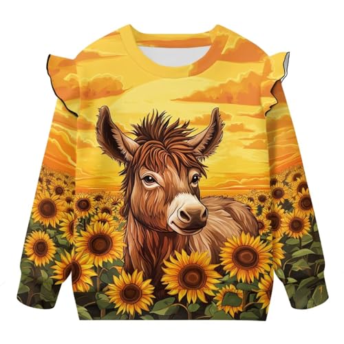 Spring Clothes for Girls with Shoulder Ruffles Dressy Pullover for Picnics4