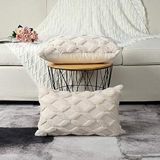 Madizz Pack of 2 Soft Plush Short Wool Velvet Decorative Throw Pillow Covers