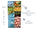 Irish Pure Junior - Freiland Huhn 12kg + Power Bone - Getreidefreies Hundefutter für Welpen - Premium-Juniorfutter + Snack im Vorteilspaket - 100% natürlich | Sparpaket | Bundle