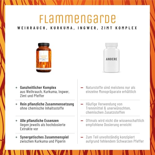 Weihrauch Kurkuma Ingwer Kapseln Hochdosiert - 196,1 mg Boswelliasäure, 133,3 mg Curcumin, Zimt, Gingerol & Piperin - Ohne chemische Entzündungshemmer oder Gelenkkapseln
