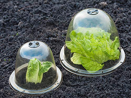 Nature Lot de 3 Cloches de forçage Ventilation Ø25cm