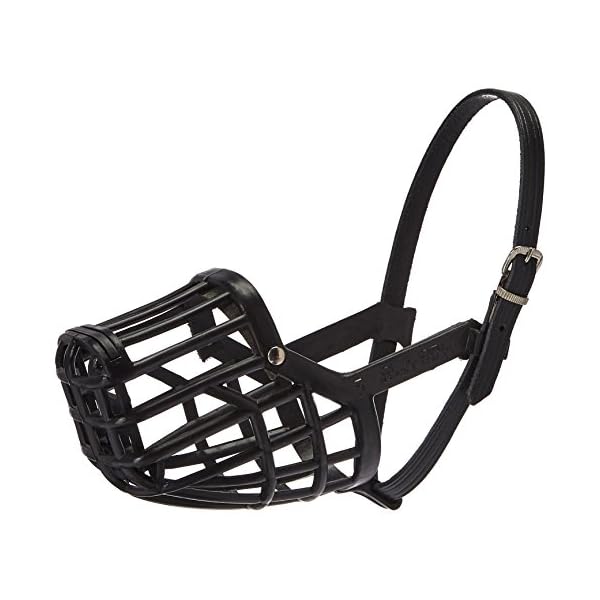 italian muzzle
