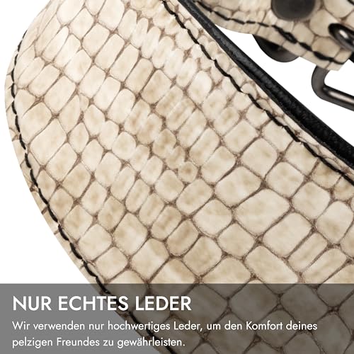 FAVPET Luxus Echtleder Windhund Halsband Breit mit QR Code Anhänger, Weiches Lederhalsband Hund Breit Whippet Italienisches Windspiel Saluki Lurcher Spanischer Galgo Greyhound Podenco (Beige, M)